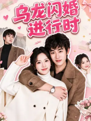 乌龙闪婚进行时